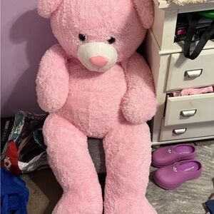Pink Plush Teddy Bear